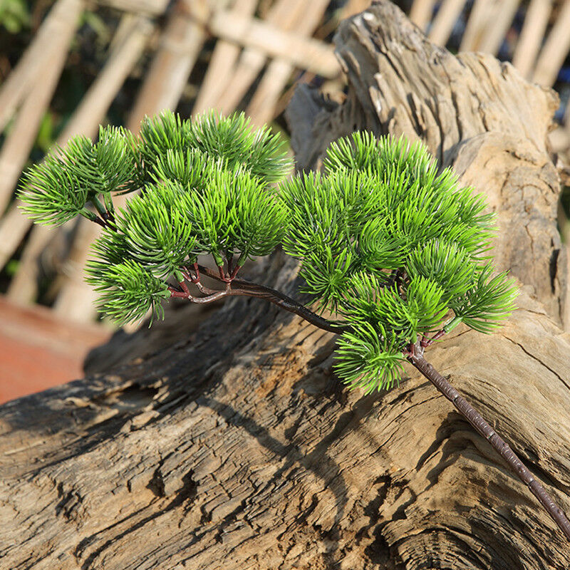 42cm Artificial Plant Pine Bra - đánh giá và giá Sphagnum Moss Dry