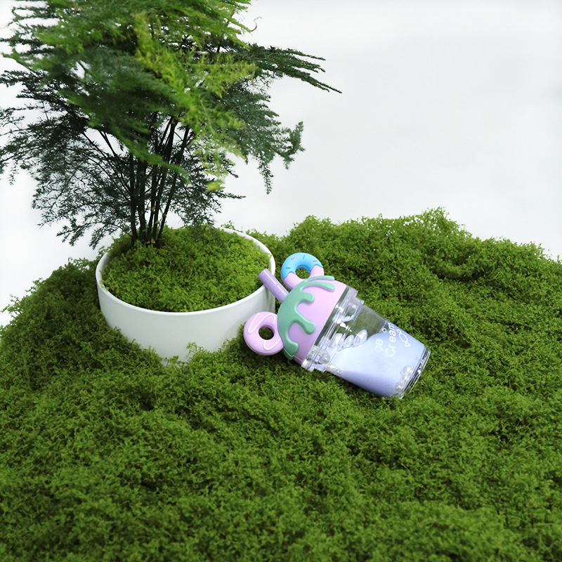 【P】50g Fake Moss DIY Crafts Gr - đánh giá và giá Sphagnum Moss Dry