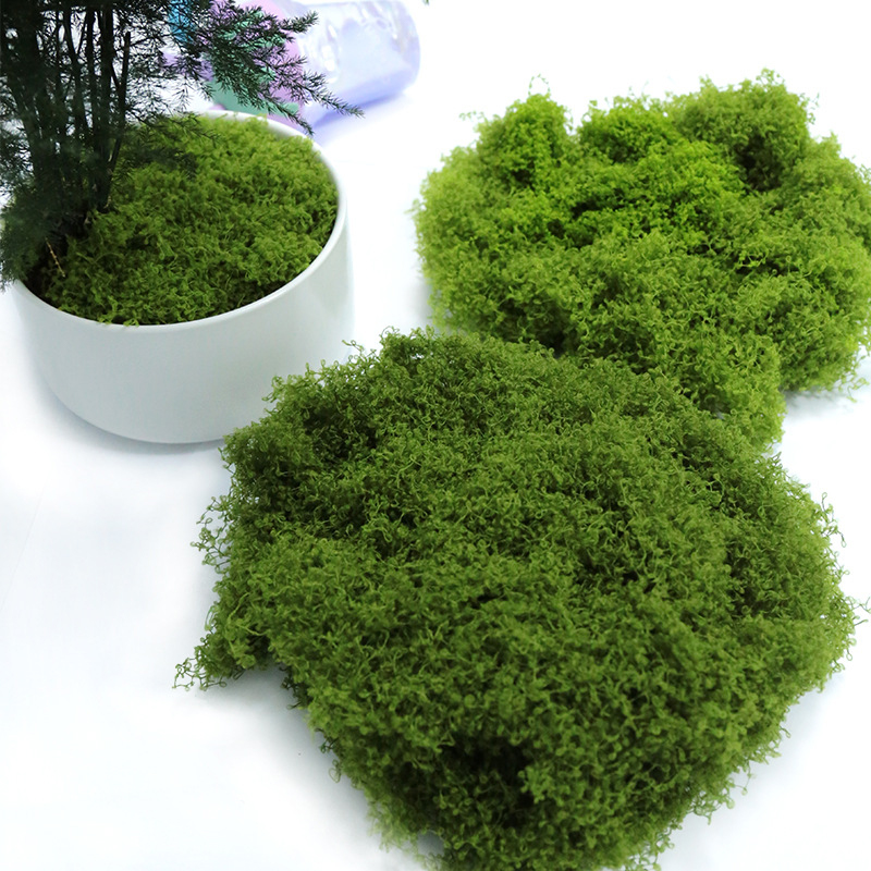【P】50g Fake Moss DIY Crafts Gr - đánh giá và giá Sphagnum Moss Dry